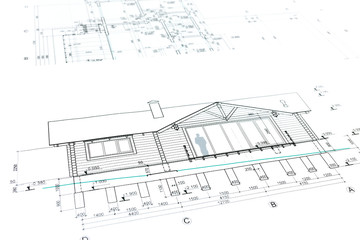 house plan blueprint