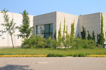 Fototapeta na wymiar Ivy in a modern building