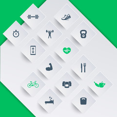 14 fitness, gym icons on square shapes, vector illustration, eps10