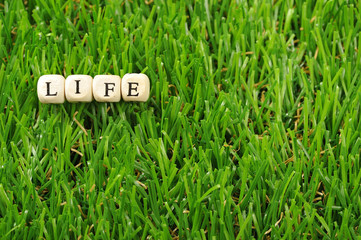 木製のブロックで組み合わせたアルファベットのlifeという文字