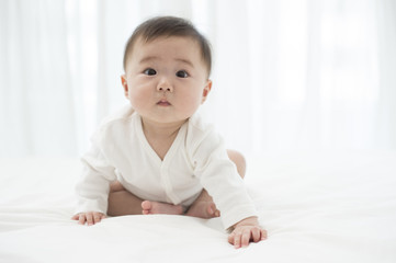Fototapeta premium Sitting cute baby