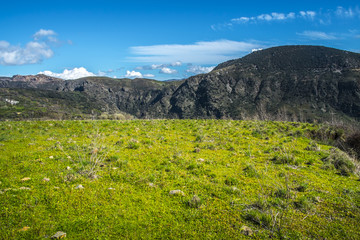 Fototapeta na wymiar andscape with green grass field and blue sky