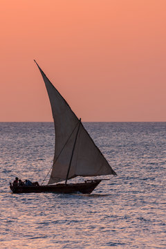 dhow traditional sailing vessel in the evening light