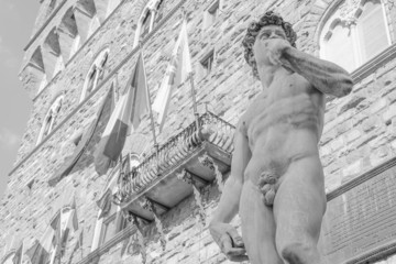 David di Michelangelo in Piazza della Signoria a Firenze