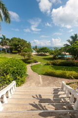 tropical garden with flowers and road to beach