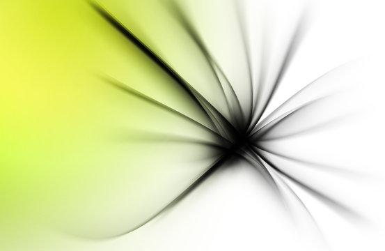 Fototapeta Modern Fractal Abstract Black White Flower Background 