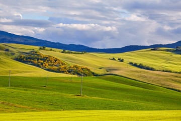 Obraz premium Tuscany hills. Italy. May.