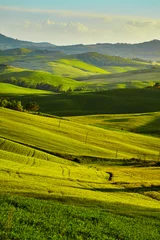 Foto auf Acrylglas Hügel der Toskana. Italien. Kann. © ZoomTeam