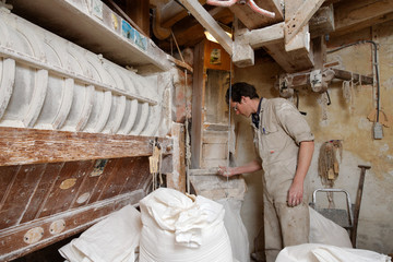 miller looks at the flour in the corn mill