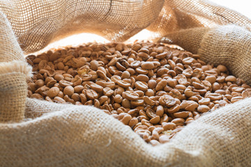 Fresh coffee beans