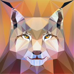 Fototapeta premium Vector illustration - face of a lynx