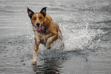 Red in the water