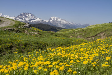 Auf dem Pragelpass