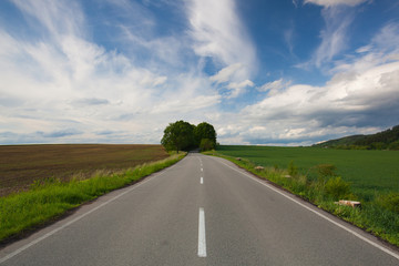 Fototapeta premium Empty road between summer field at sunset