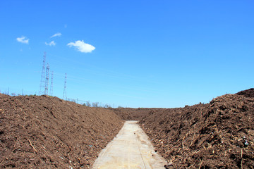 Piles of compost at a green recycle plant