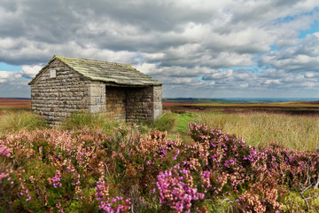 Fototapeta na wymiar Stone shelter overlooking the moorland