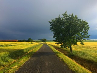 Empty road before heavy storm