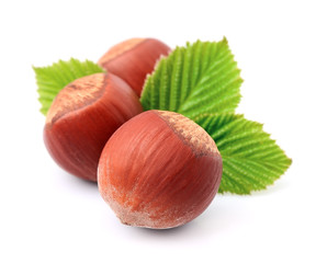 Filbert nuts