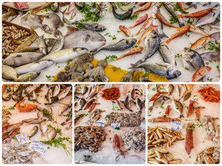 sizilianischer Fischmarkt