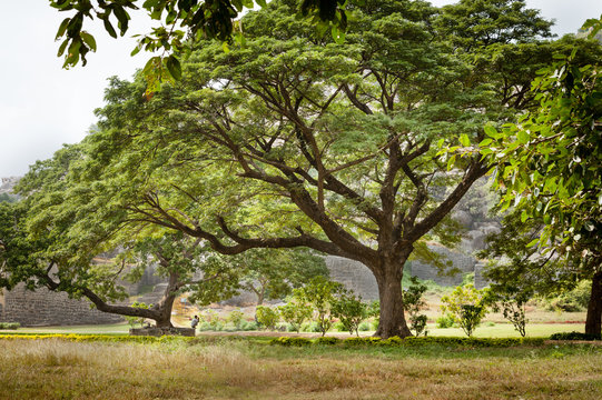 Gingee Fort, Tamil Nadu, India.