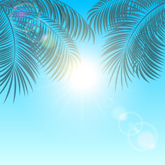 Fototapeta na wymiar Palms on blue background