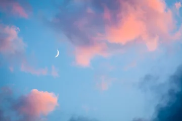 Aluminium Prints Sky Pink clouds and moon heaven