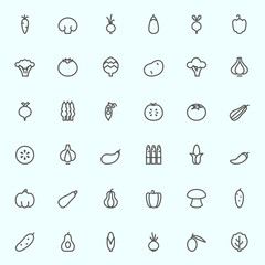 Vegetables icons, simple and thin line design