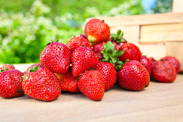 sweet strawberry in garden