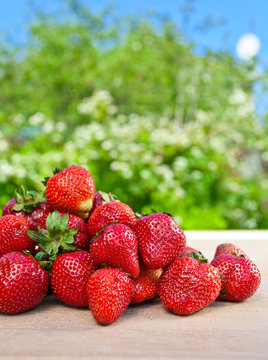 sweet strawberry in garden