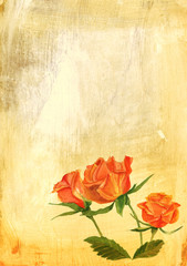 A vintage-styled watercolour drawing of a tea rose