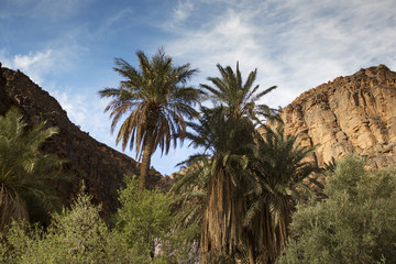 Fototapeta na wymiar amtoudi gorge morocco