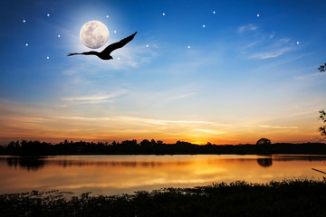 beautiful full moon after sunset at night eagle fly on the river