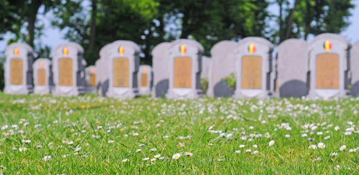 graves of belgian soldiers fallen in world war 1 in oeren, flanders, belgium, intentional blur, selective focus on flowers in foreground