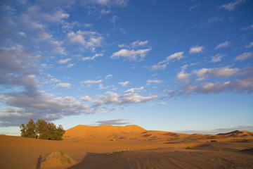 erg chebbi sand dunes