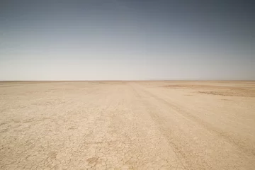Fotobehang dry lake sahara desert © Dan Talson