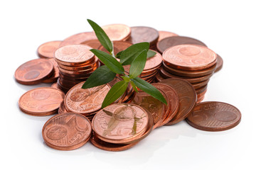 Euro cent coins and green sprout
