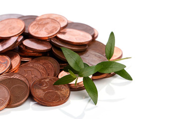 Euro cent coins and green sprout