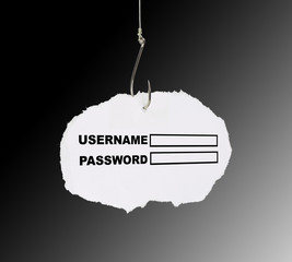 Phishing the password and the username
