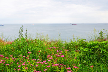 Fototapeta premium Blooming seafront city