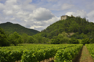 Fototapeta na wymiar Saint-Thomé (07220) aux pieds de vignes, département de l'Ardèche en région Auvergne-Rhône-Alpes, France