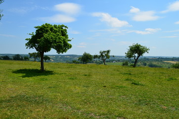 Paysage du Pays d'Auge (Normandie)