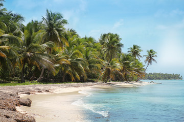 Tropical beach in caribbean sea