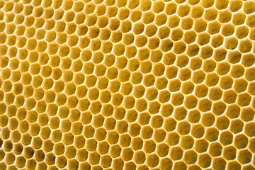 honeycomb