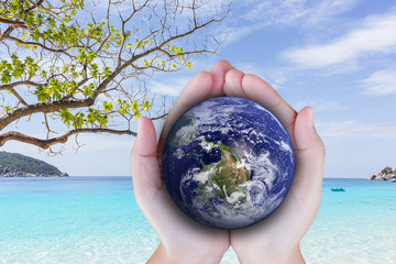 the planet among human hands in concept  Healthy oceans  healthy