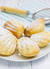 Sugar powdered madeleines on the white plate