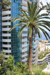 Obraz premium Palm Tree in front of a Luxury Building