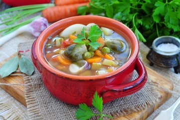 Fresh vegetable soup with bean, carrot, potato, tomato in bowl