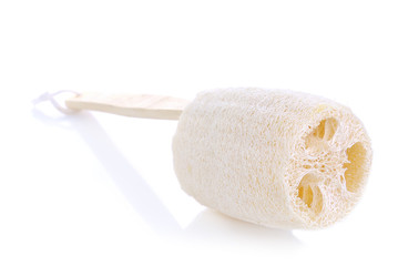 Loofah - natural fiber for body scrubbing