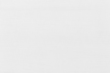 Wood White clear Background