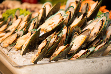 Fresh green mussel with ice